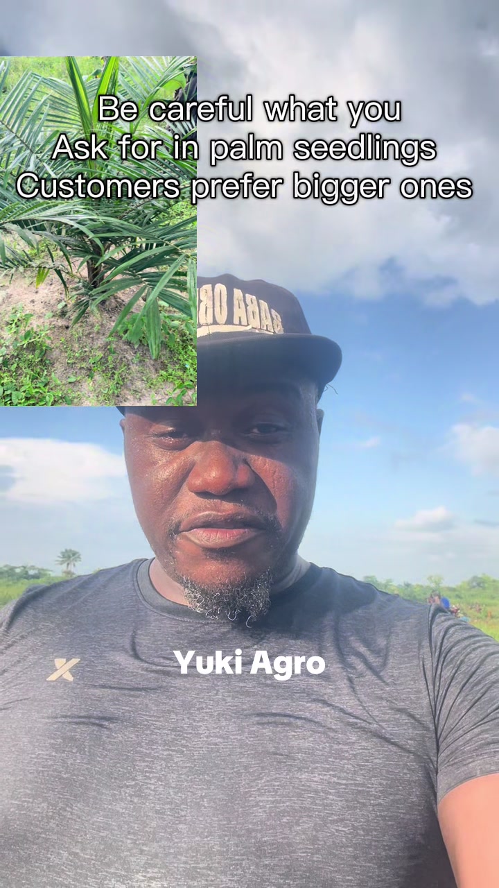 @BabaObaTv @Yuki Agro limited