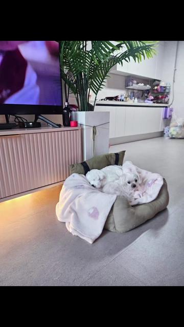 @아콩맘♡