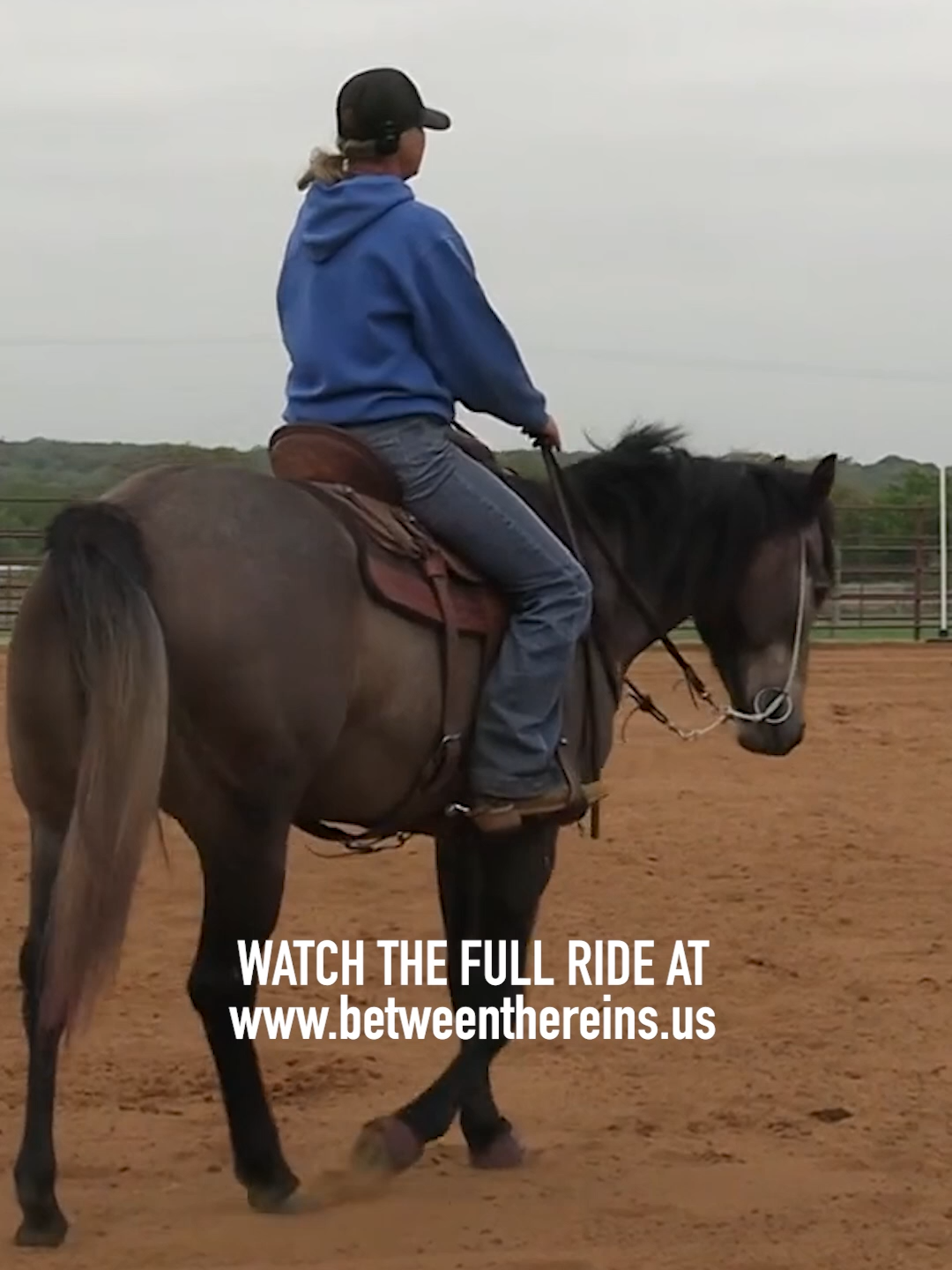 @Between The Reins