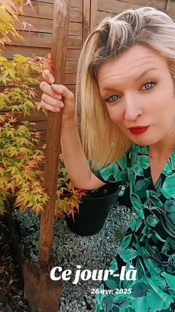 @🪷 Aur&eacute;lie 🪷