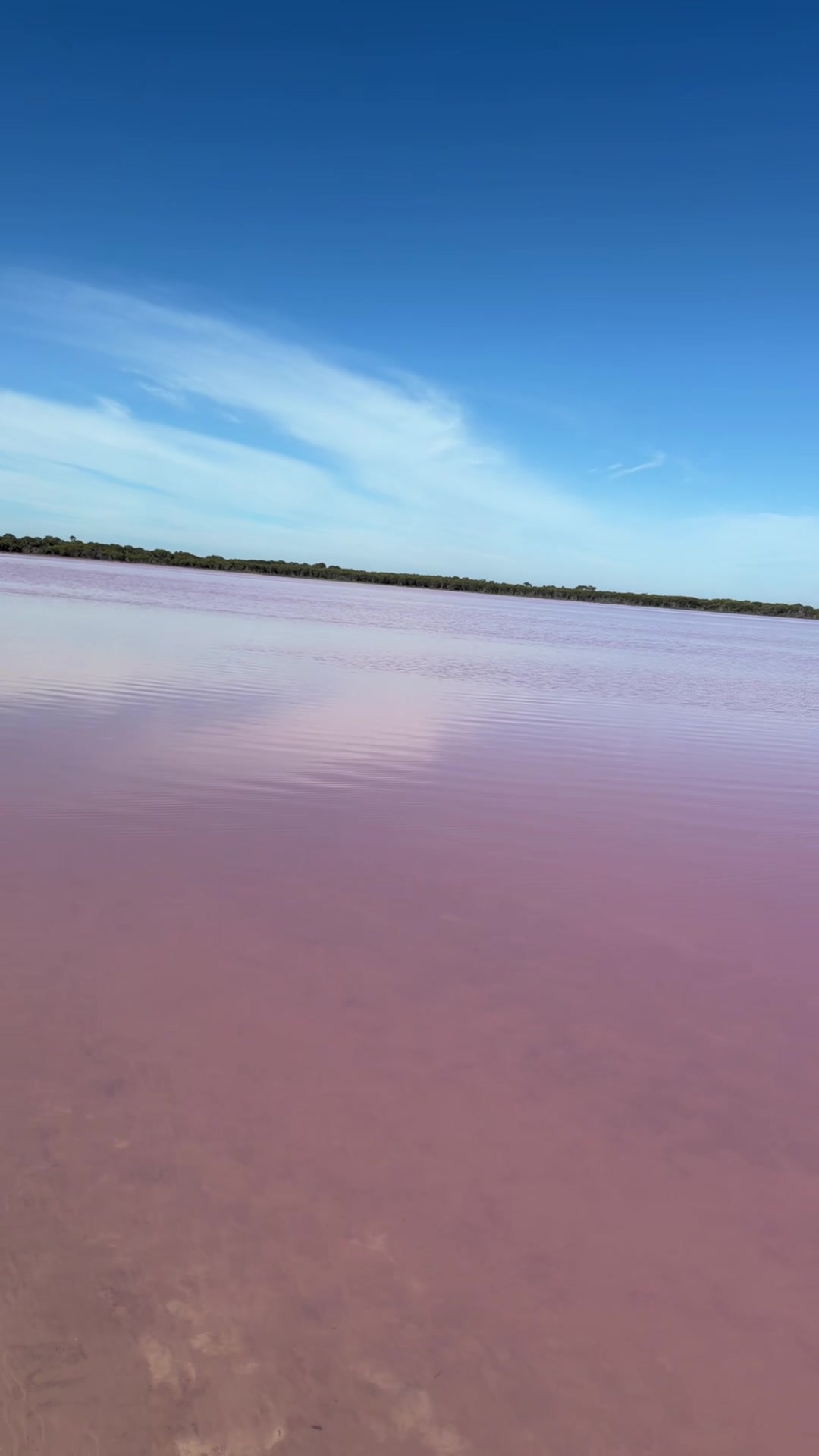 @𝐂𝐑𝐎𝐖𝐍
