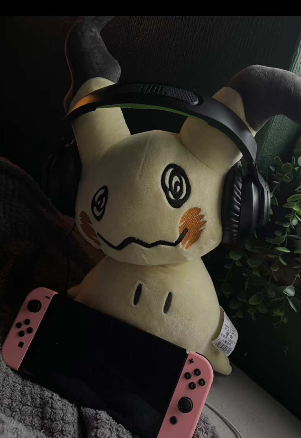@˚𝜗𝜚˚⋆𝐬𝐩𝐢𝐥𝐥𝐚𝐠𝐞˚𝜗𝜚˚⋆