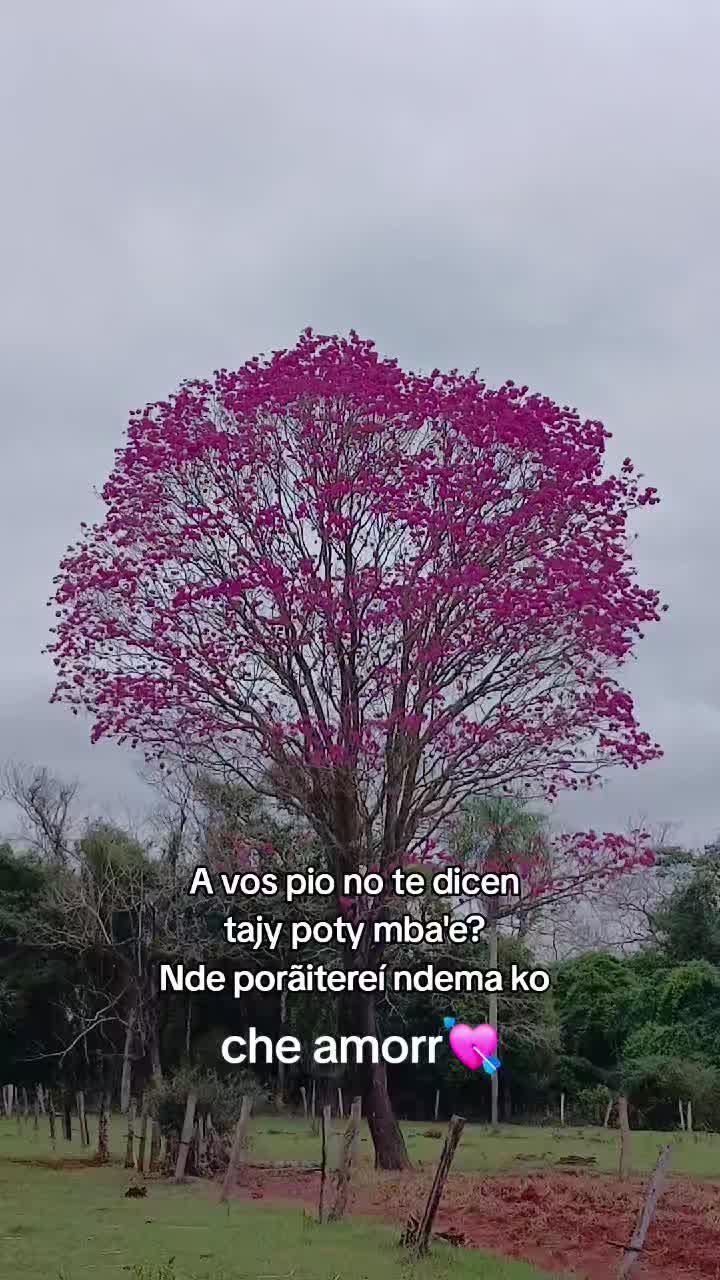 @Teteconpan🍼
