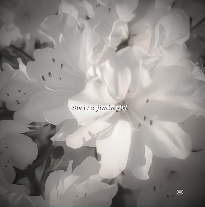 @๐๐๐๐ ๐๐๐๐๐๐๐โฐ