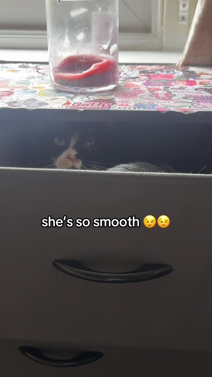 @Paigeyy
