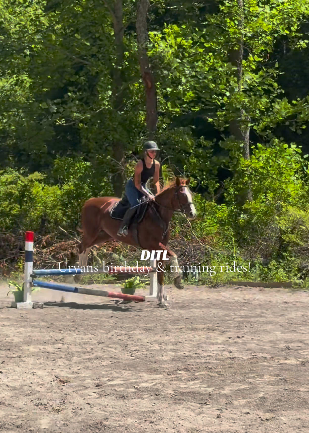 @Lunar Hill Equestrian