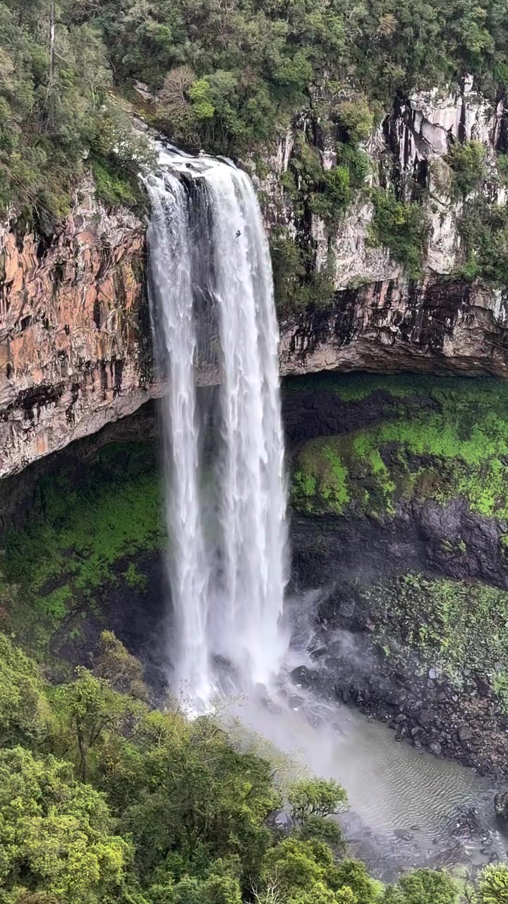 @MUNDO CAIPIRA MIRANDA