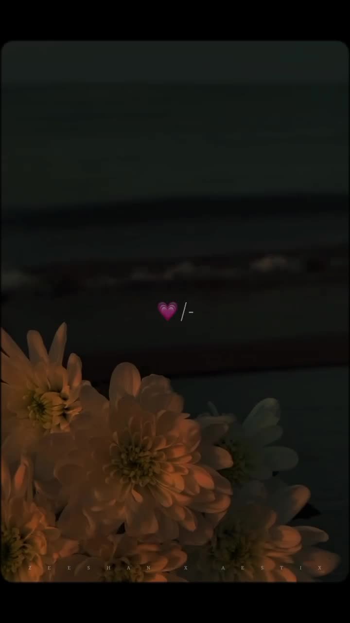 @𝙕𝙀𝙀𝙎𝙃𝘼𝙉 𝙓 𝘼𝙀𝙎𝙏𝙄𝙓
