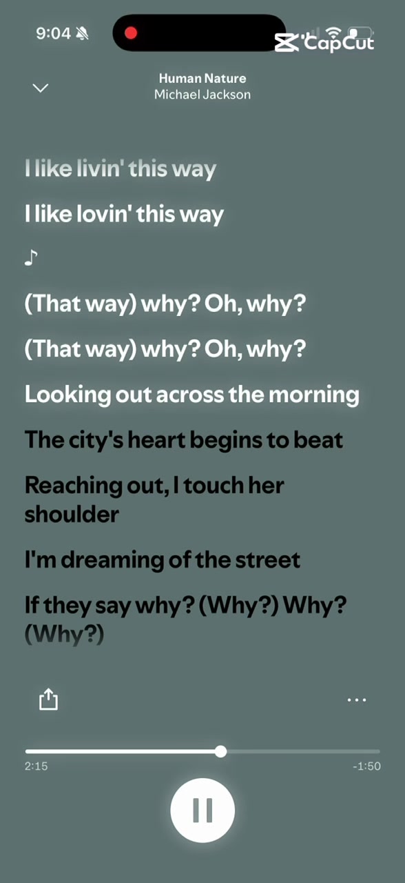 @SpotifySongs
