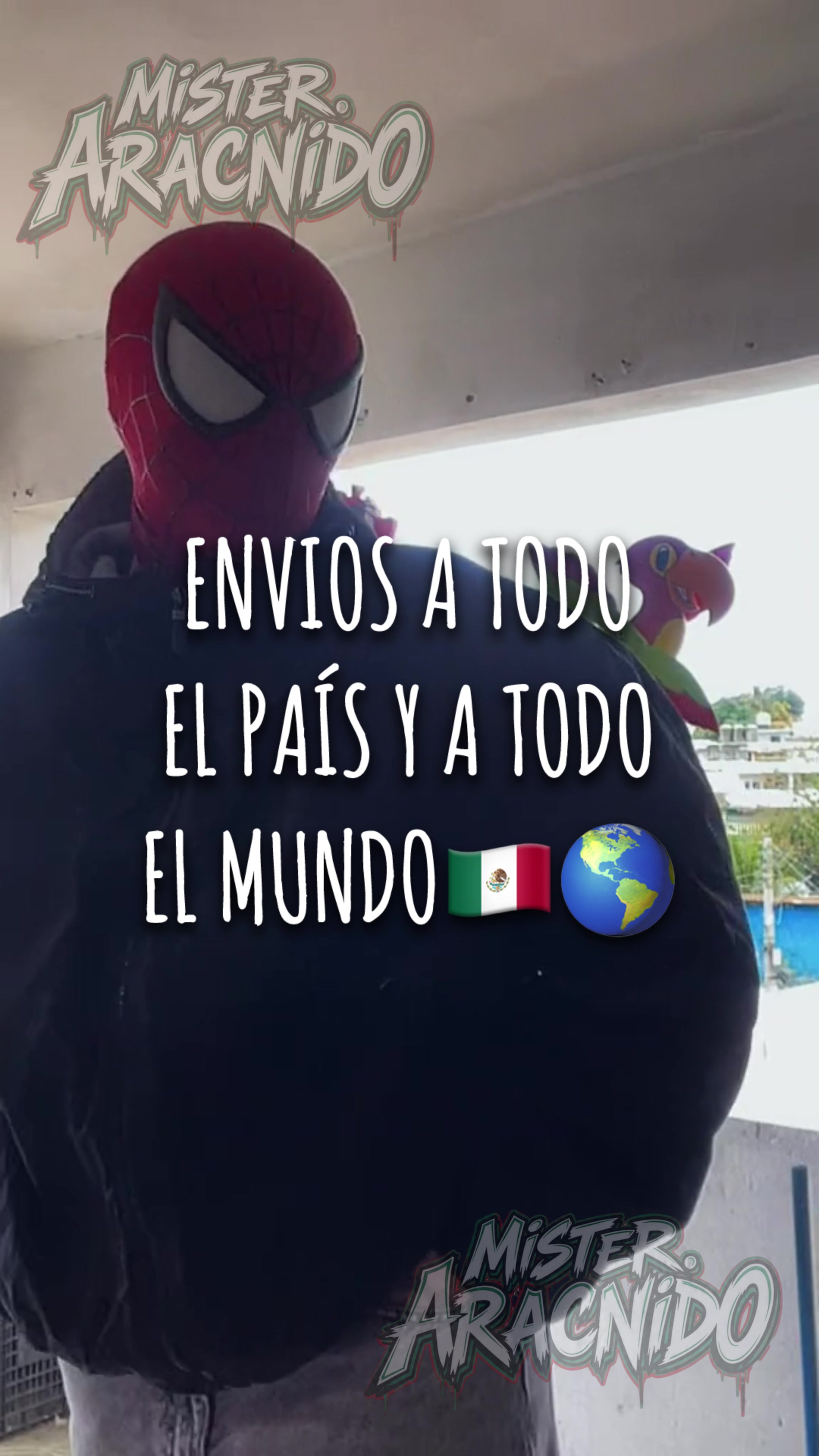 @Mr.Ar&aacute;cnido