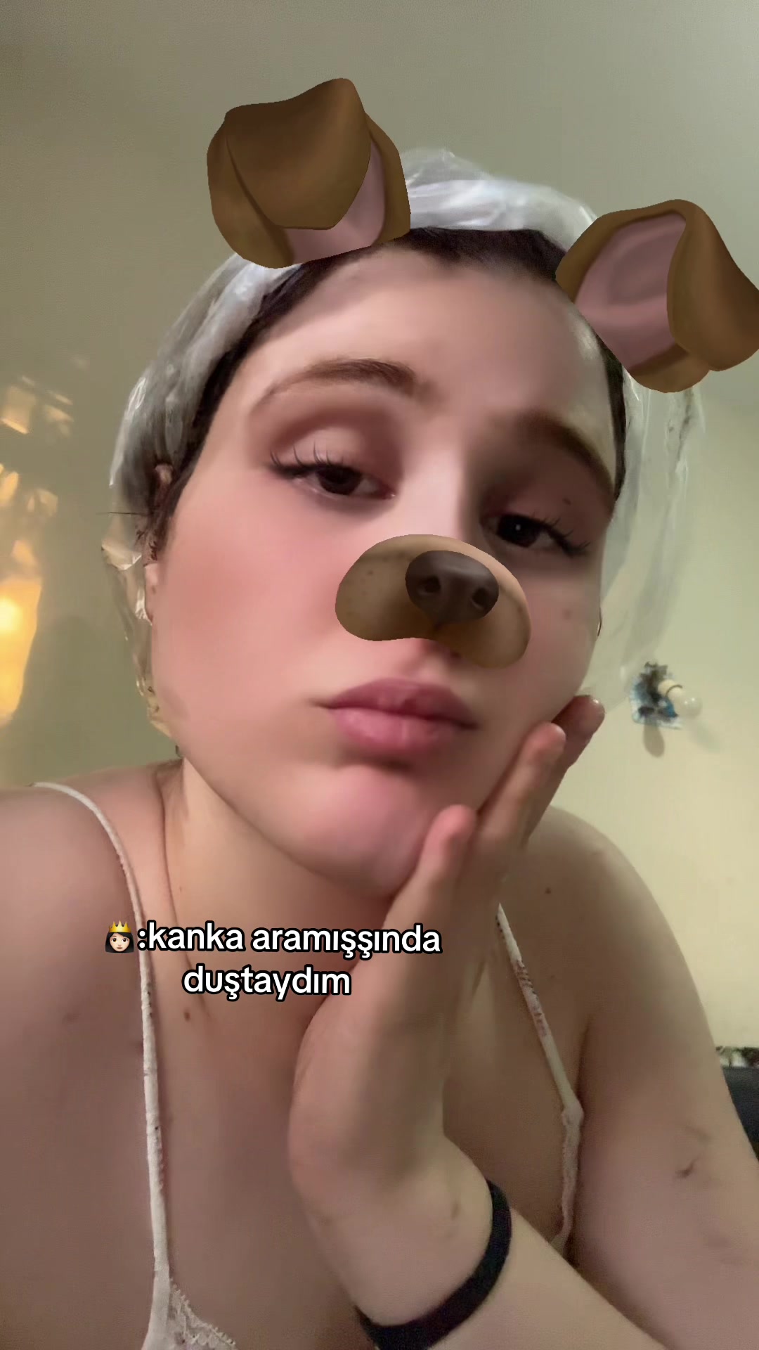 @allarqx🚩