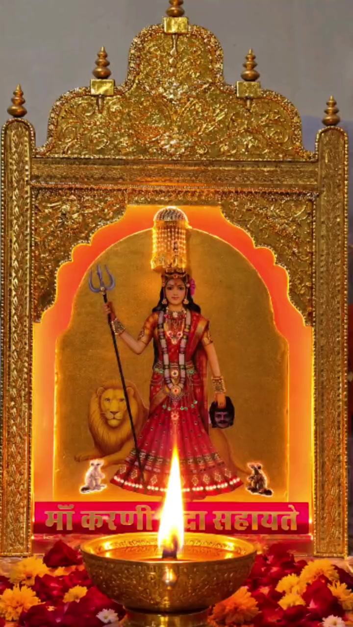@RJ 18 wale Saini 009 🇮🇳🇮🇱