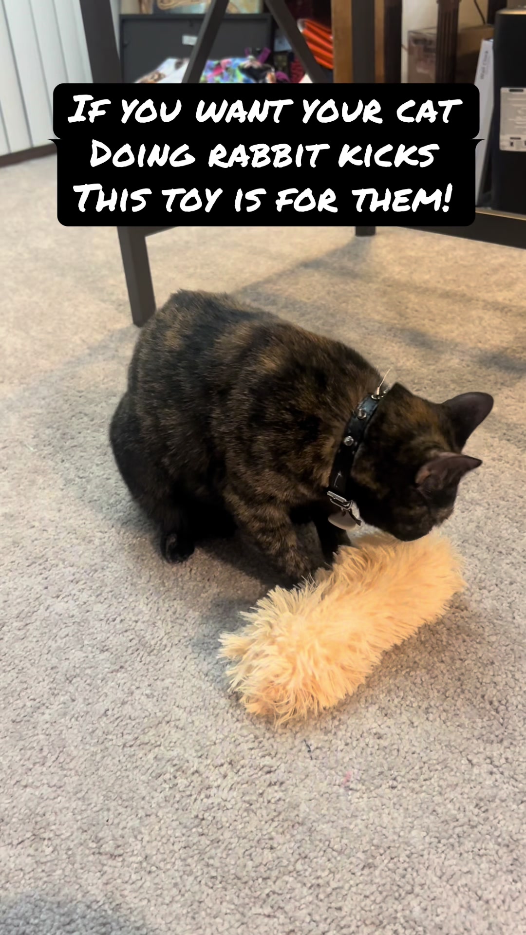 @Bella’s cats & hedgehog deals