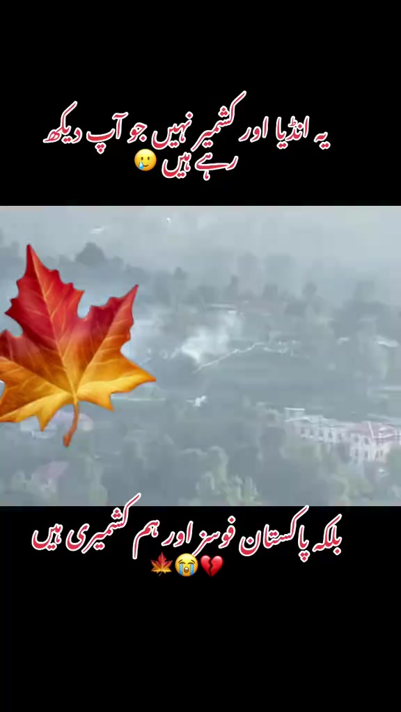 @Ehsan Kashmiri⚔️🥷
