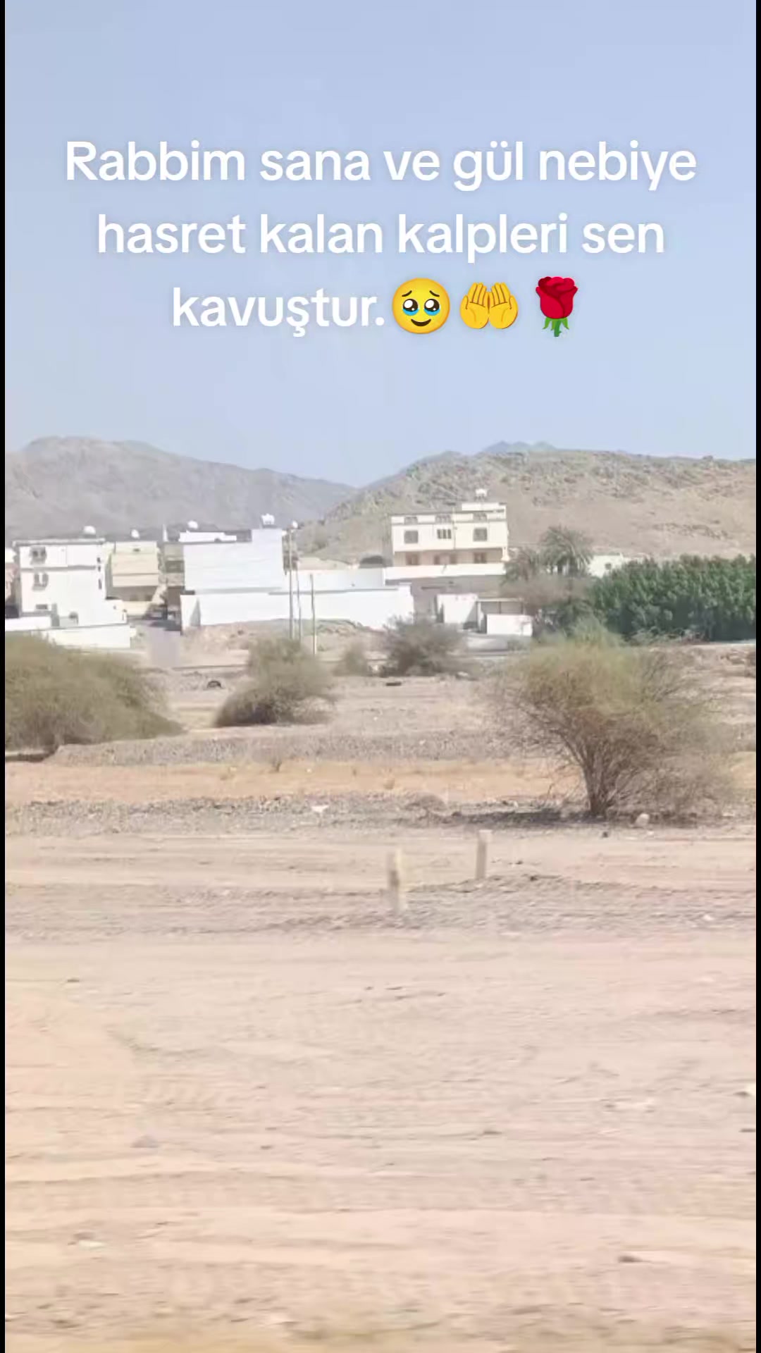 @Dicle_elif_turzm_silvan