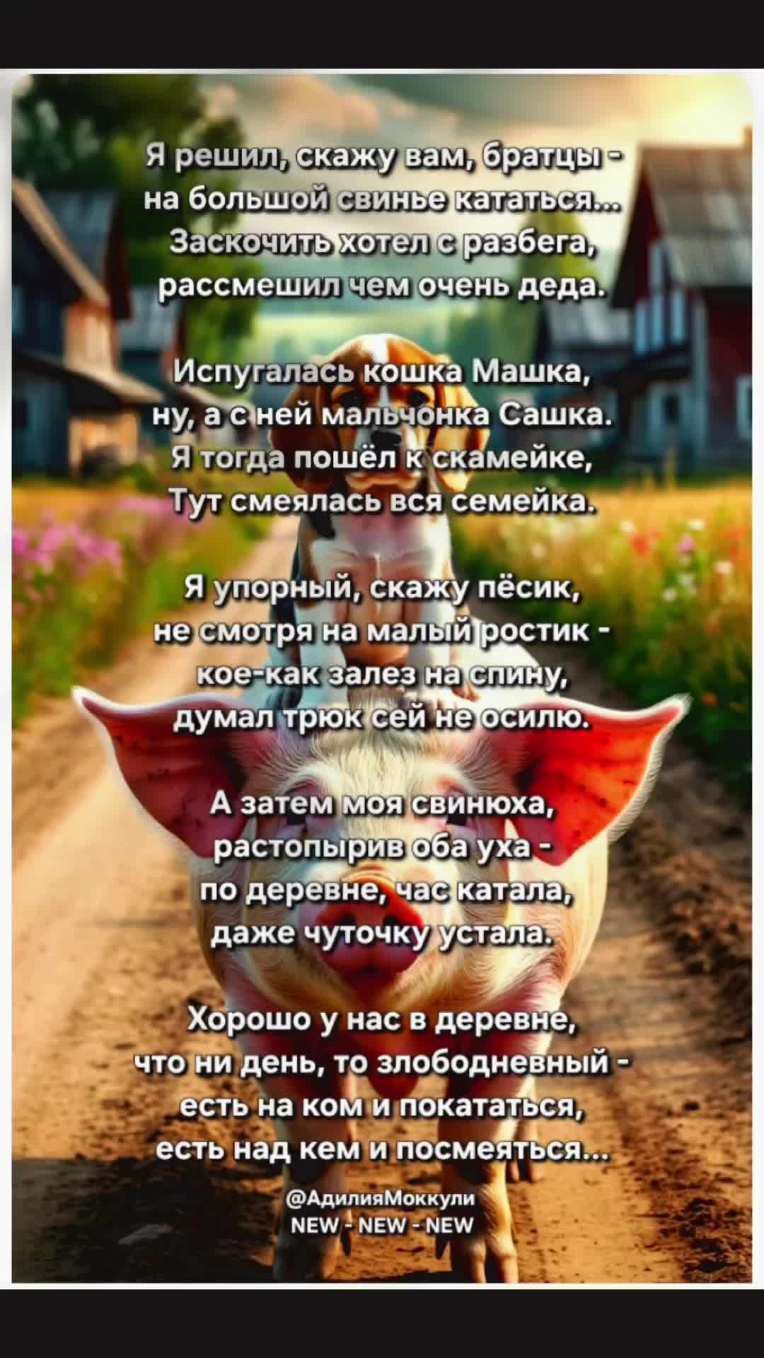 @Адилия Моккули
