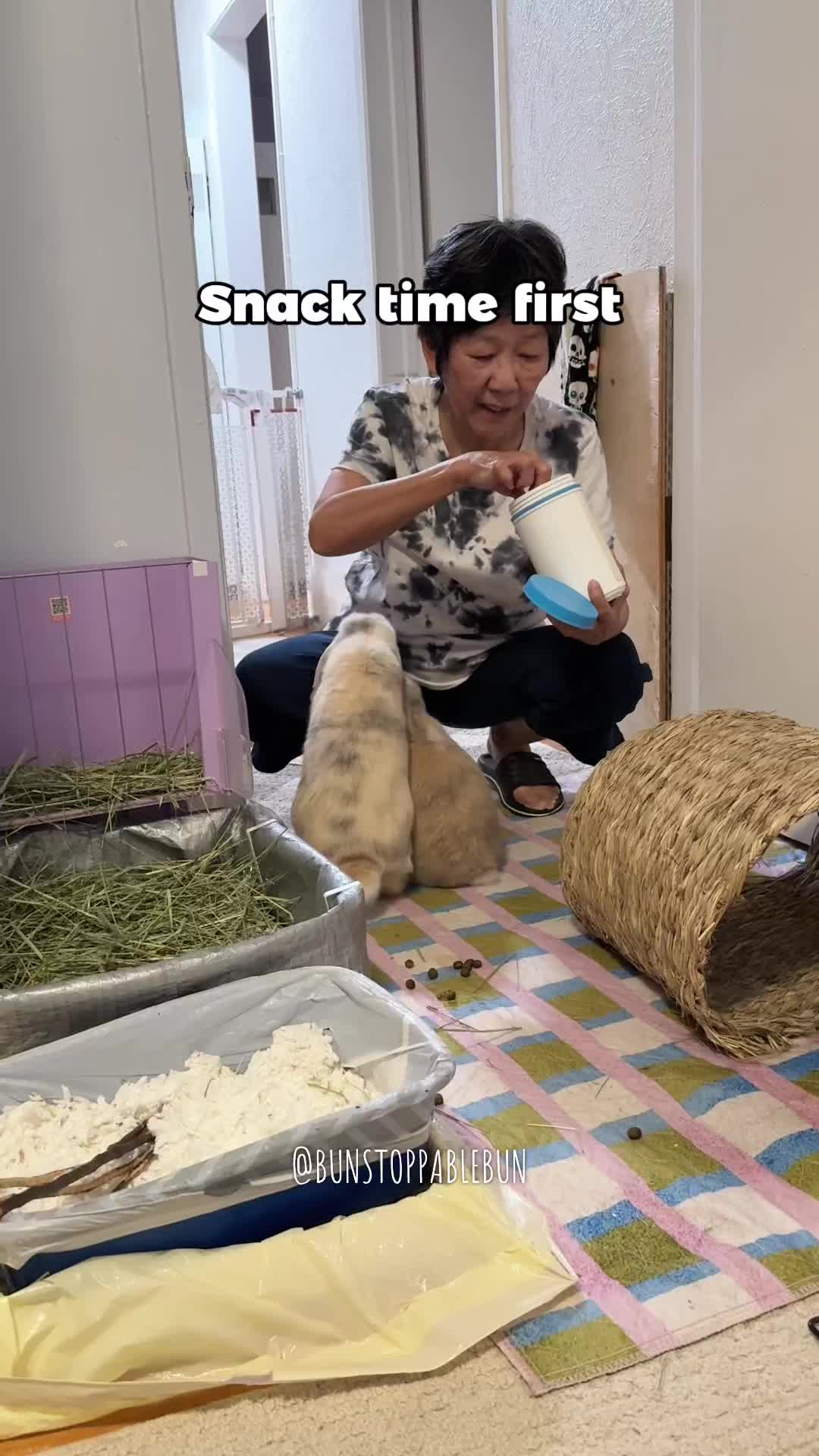 @BunBun, Mochi🌈, Chewy