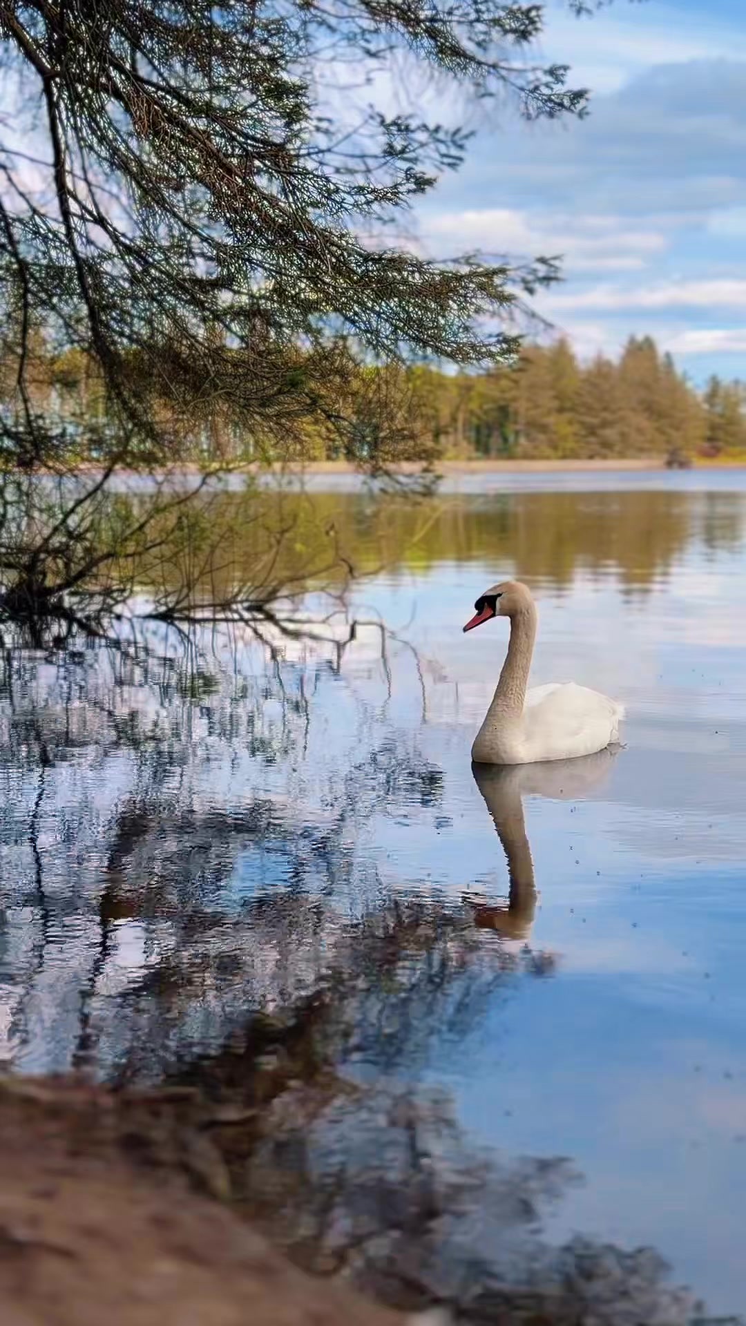 @thebeautyofscotland17