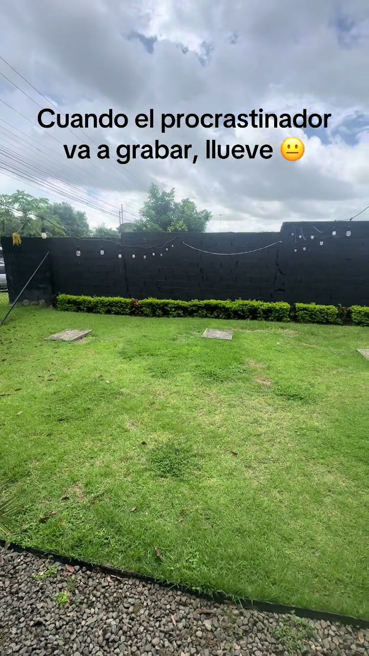 @negocioconsentido