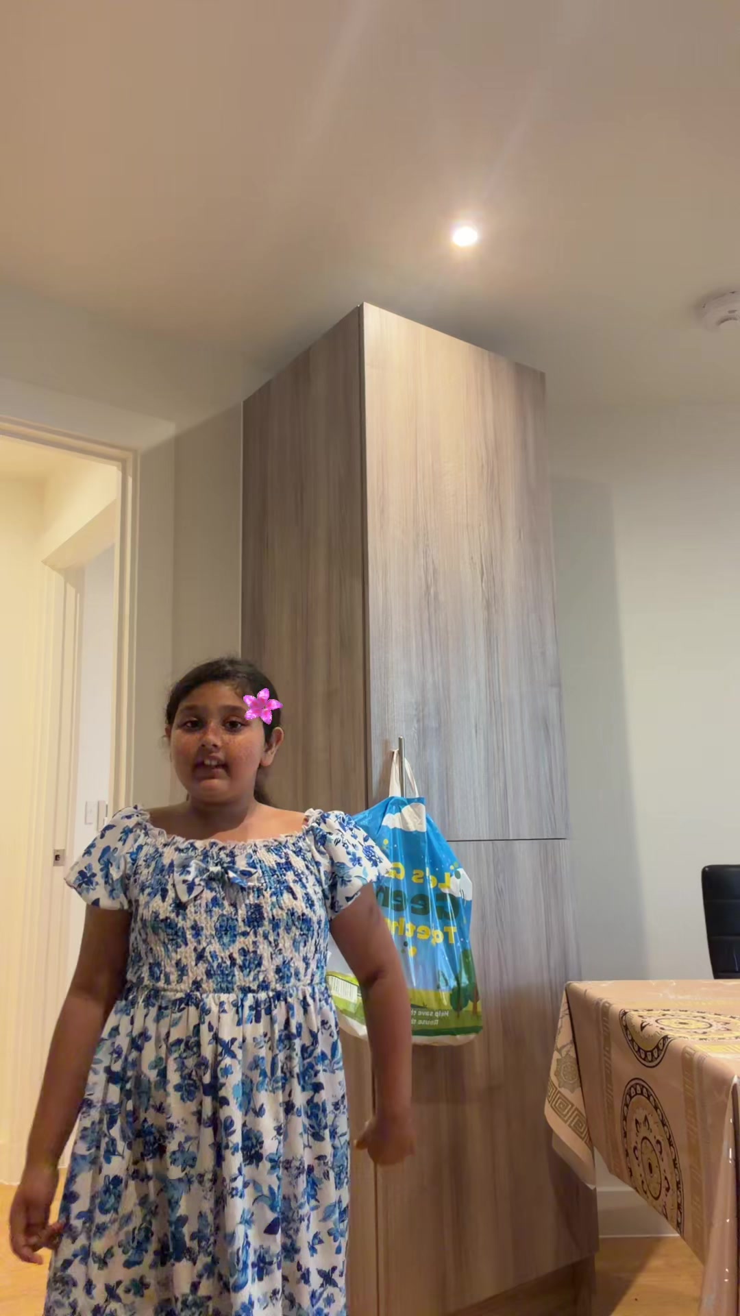 @dincaflorentina11