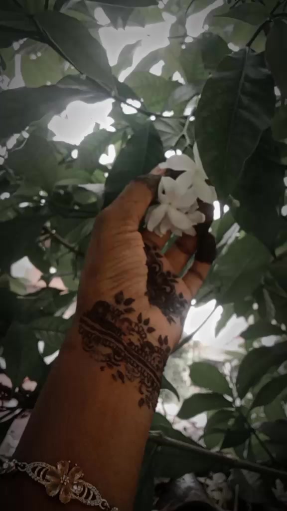 @Beder🍁 Meye Joshna🍁