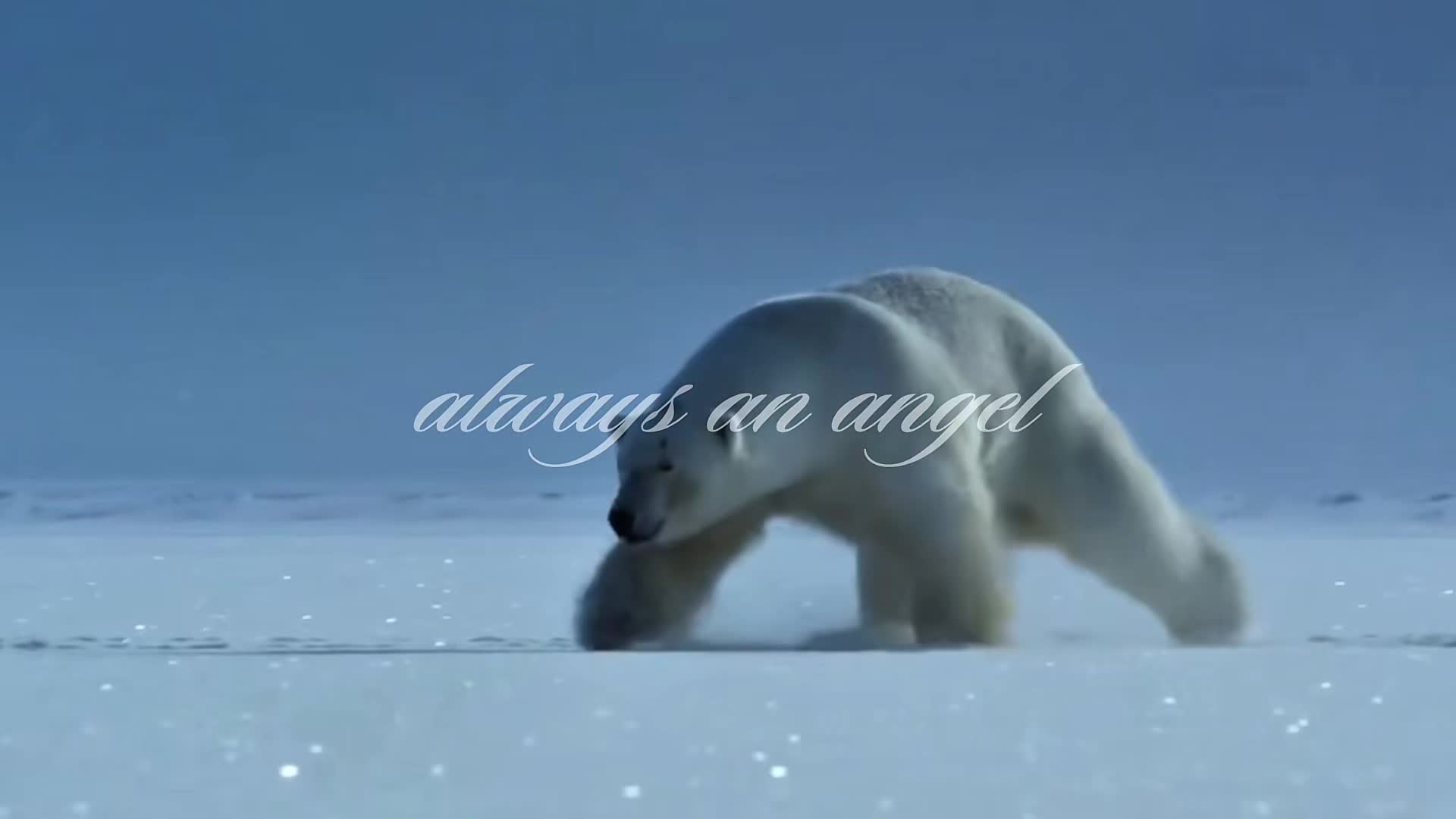 @ᶻ 𝗓 𐰁 .ᐟ