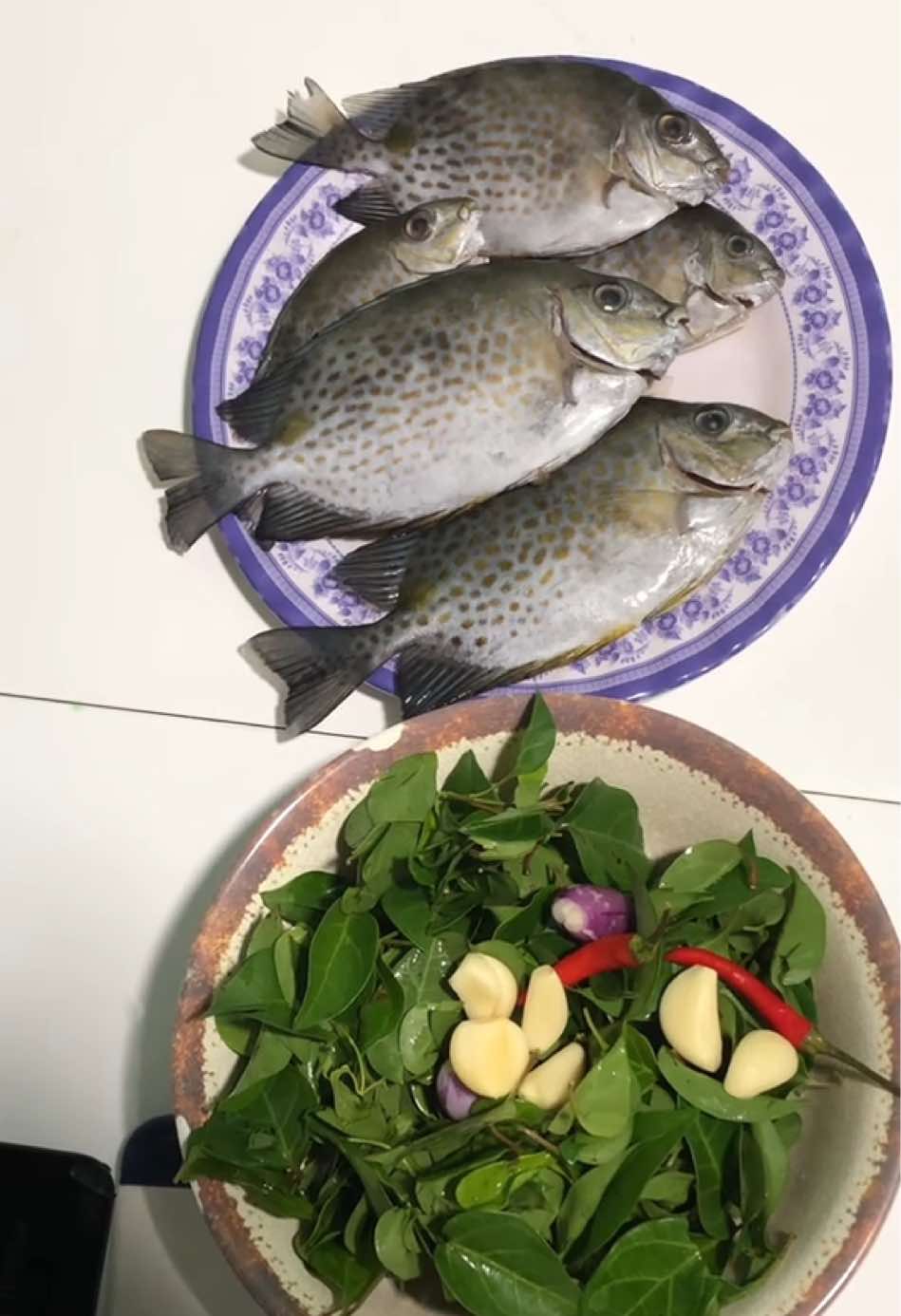 @c&acirc;u c&aacute; Nha Trang