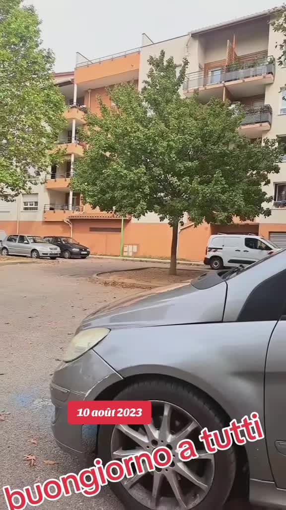 @lyon