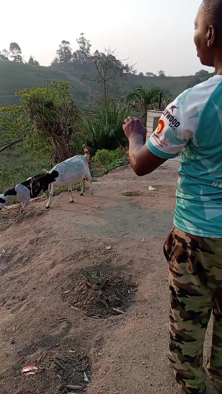 @Futhy Zulu (sisi kaKieh)