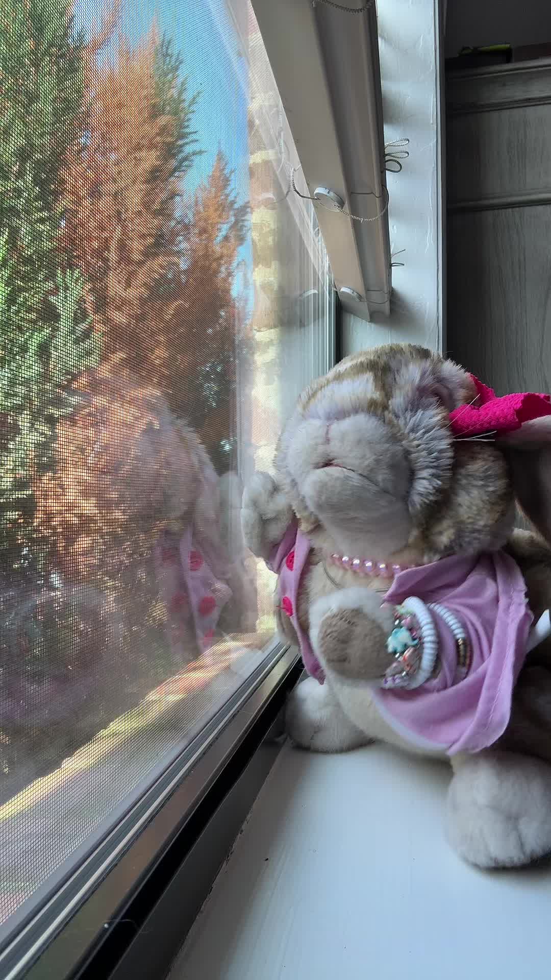 @rabbitdaisymae