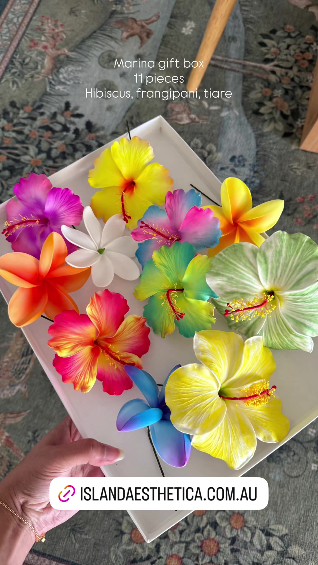 @Island Aesthetica ๐บ