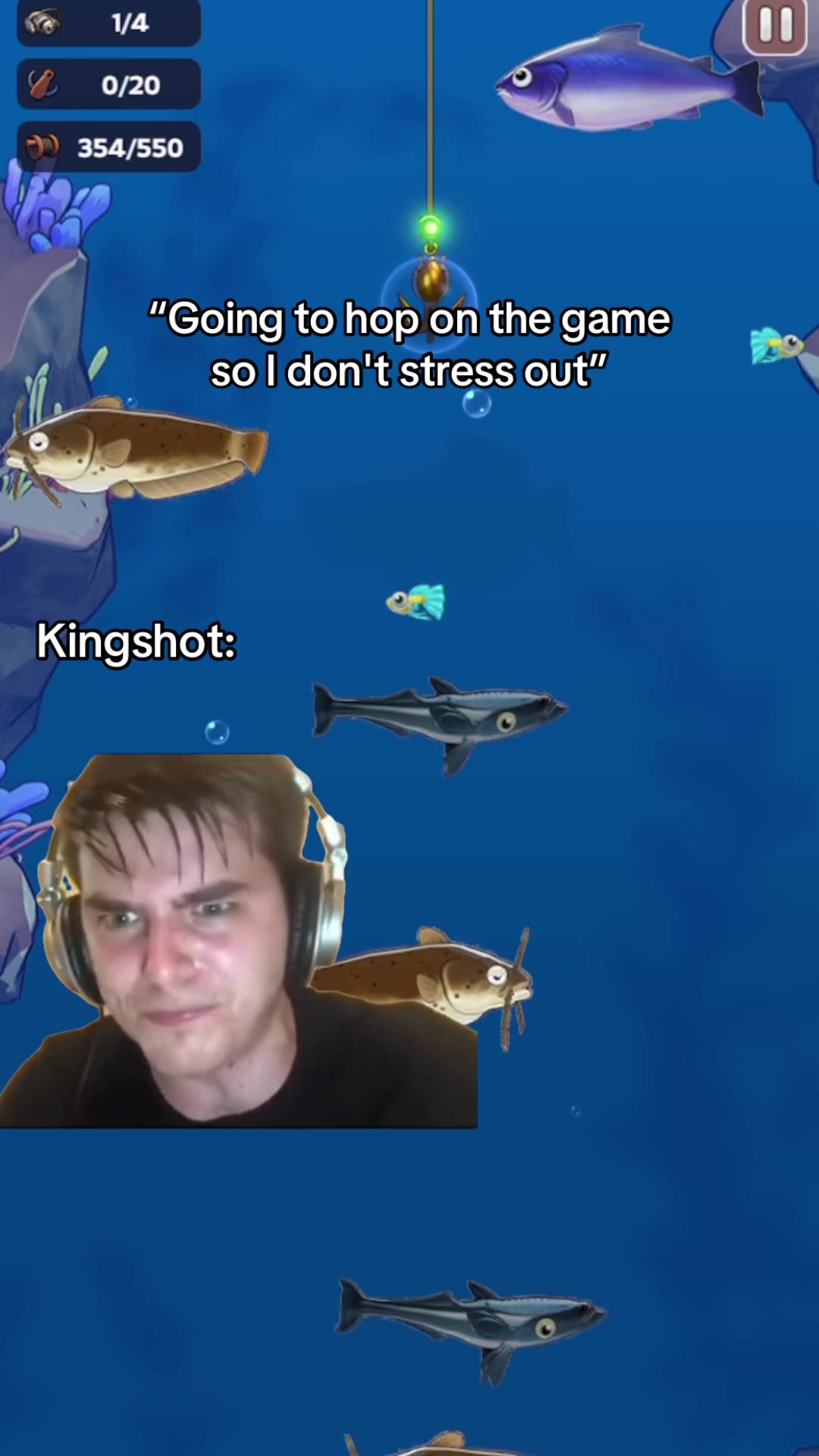 @Kingshot 1531
