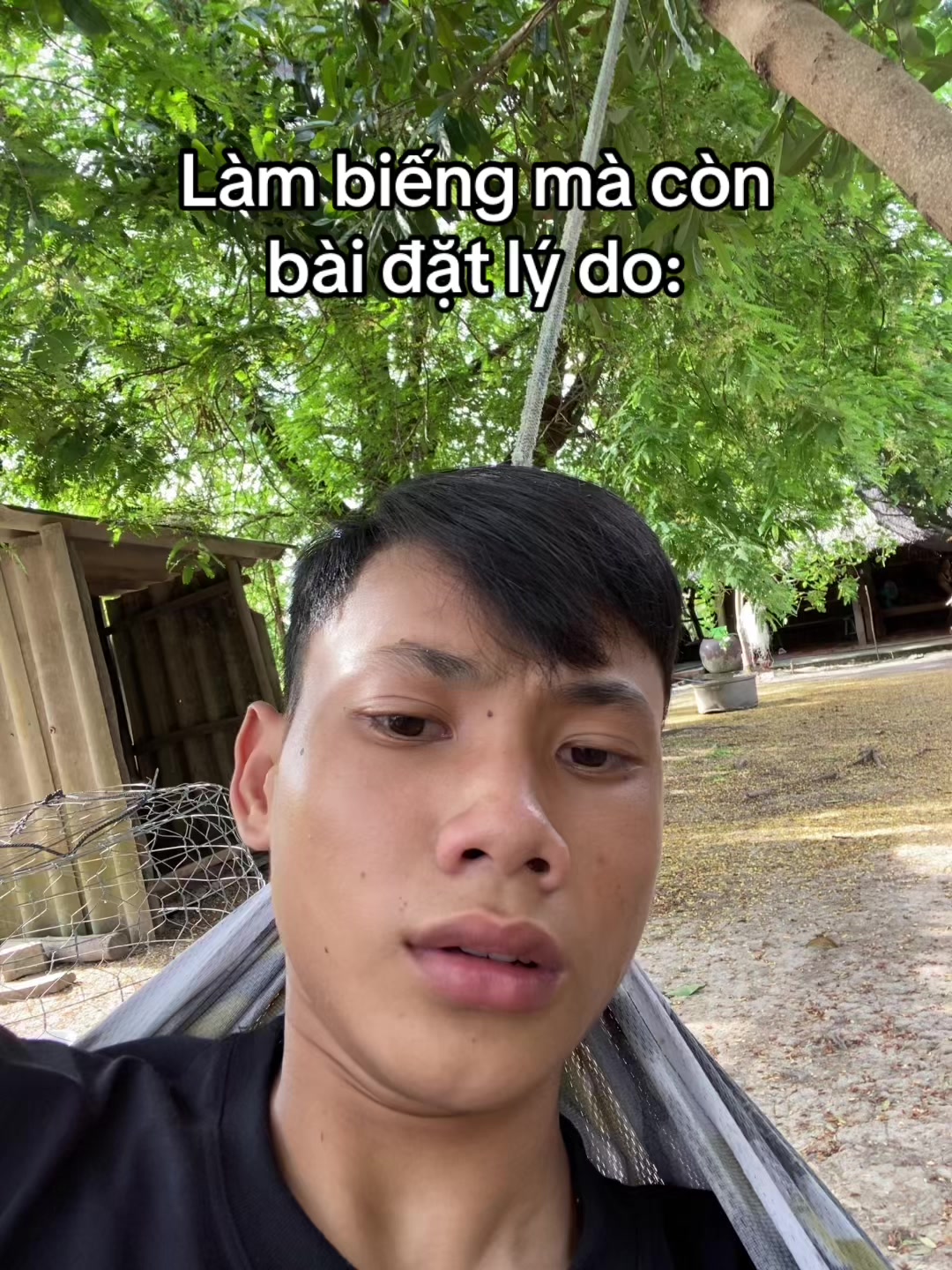 @banddz7