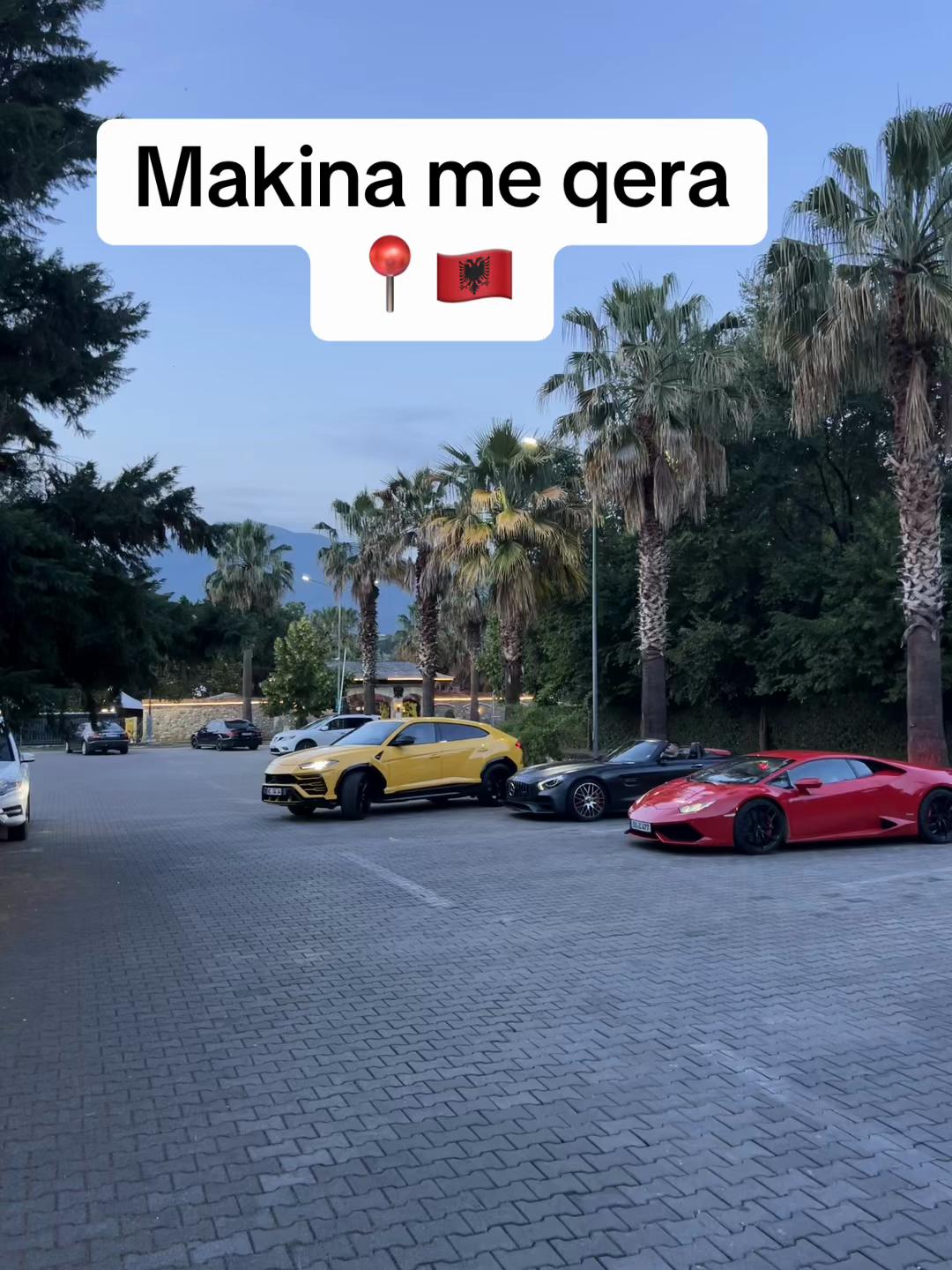 @rental.tirana.vip