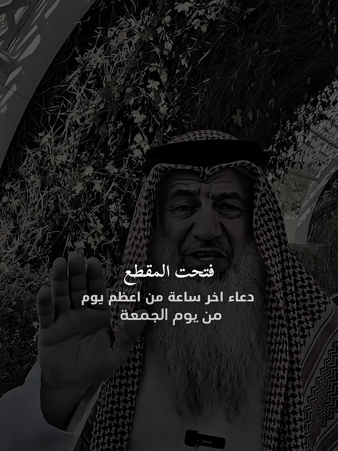@علي الحسن