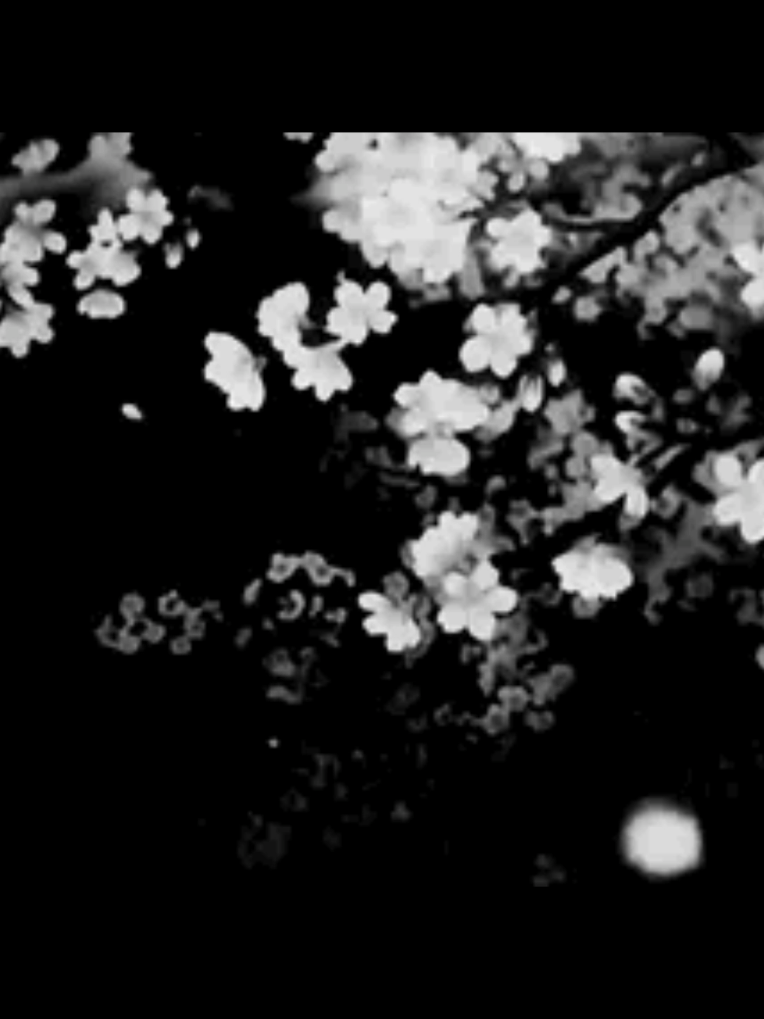@ˑ 𓈒 𐔌 αυᑯ𝗋𝖾𝗒 ⑅ ͡꒱