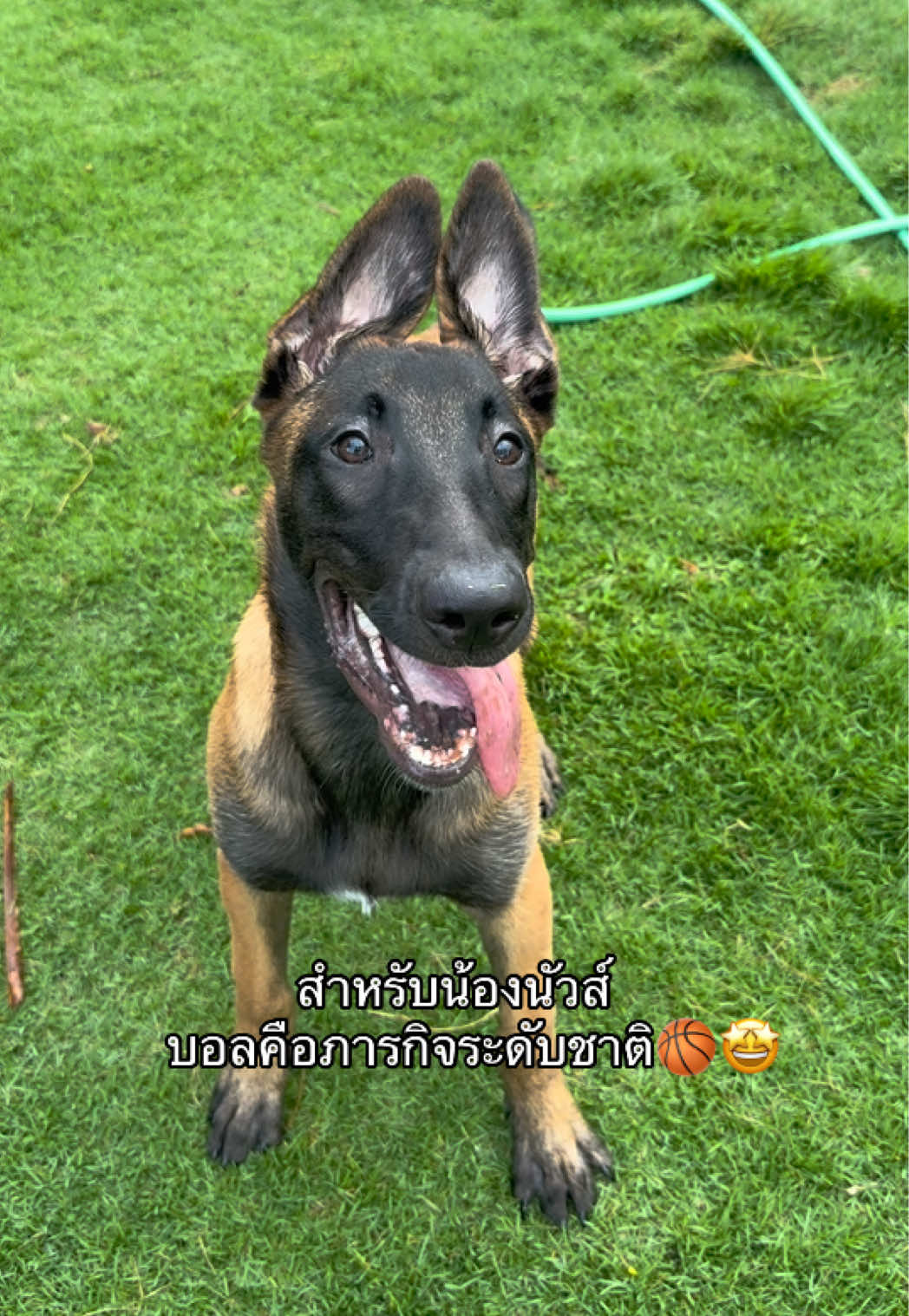 @พี่เรนเจอร์กับน้องเรนจี้