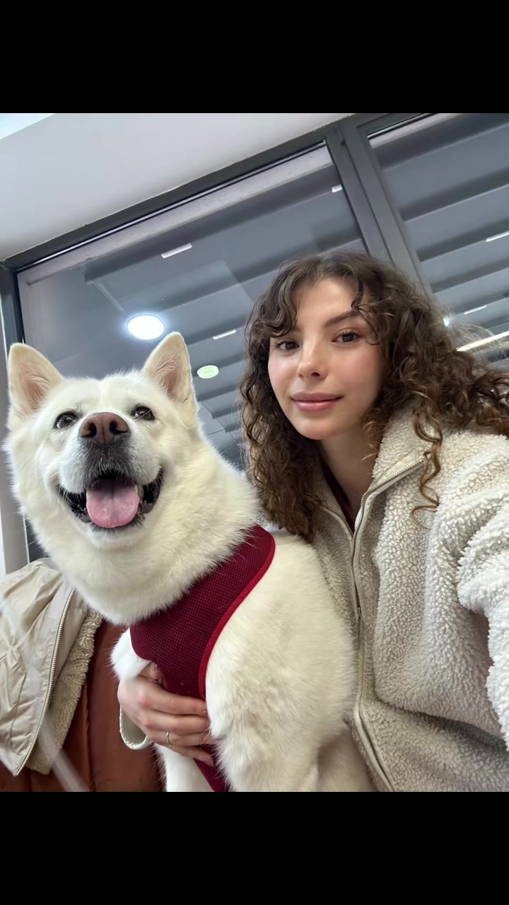 @vetbasakhealss