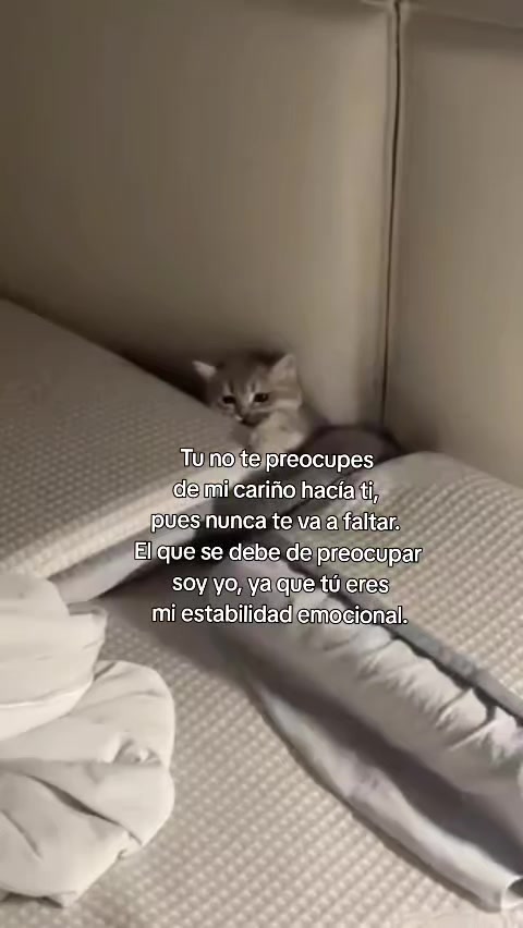 @crissparker