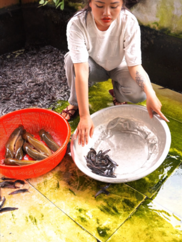 @Trại Cá Giống Quang Lâm