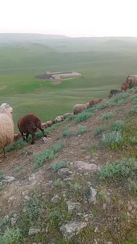 @Adil ceferov 61