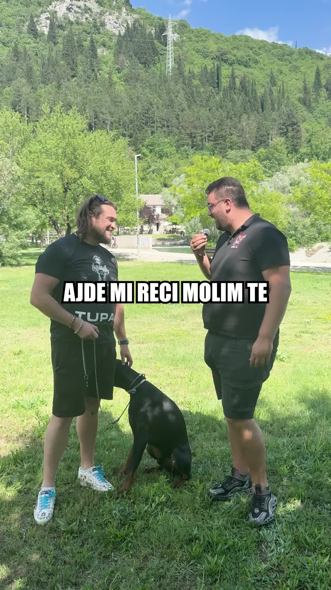 @superdog.akademija