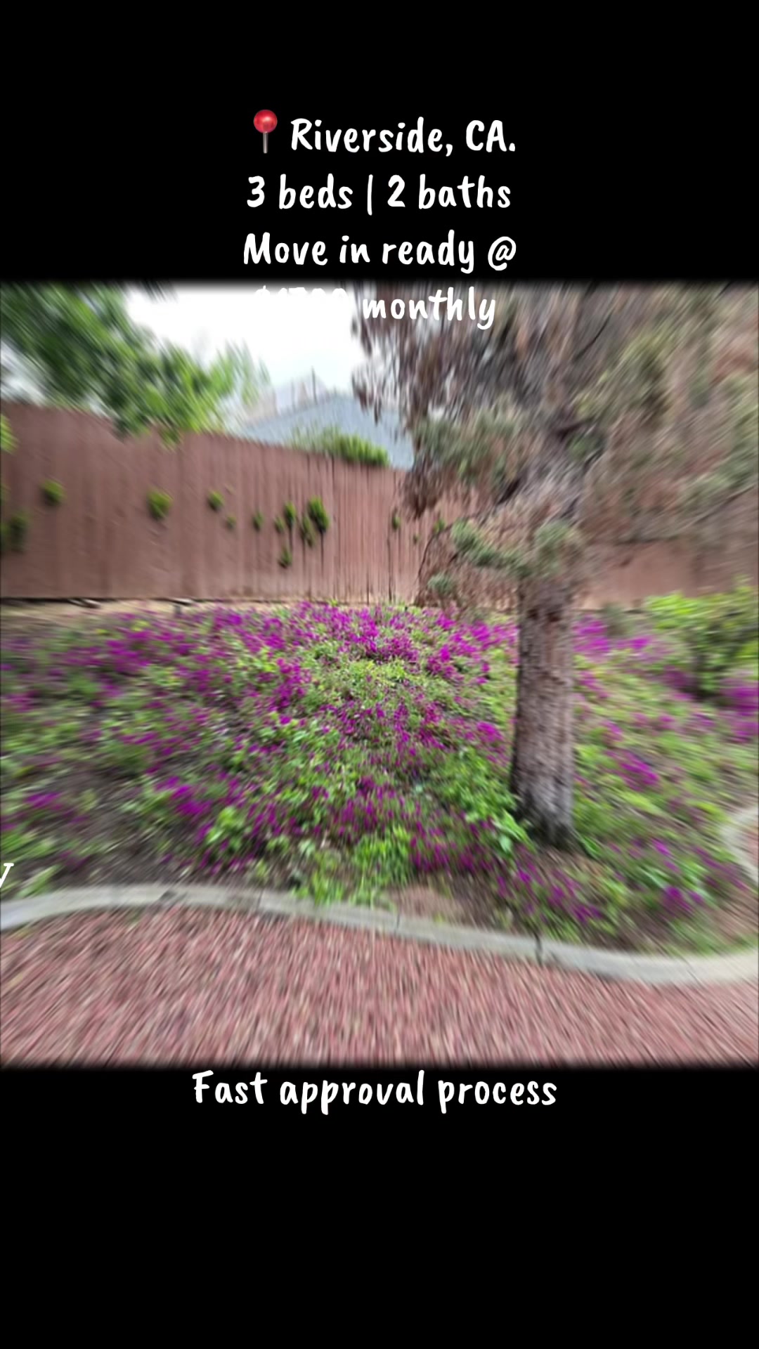 @Viktor Sandor_Realtor