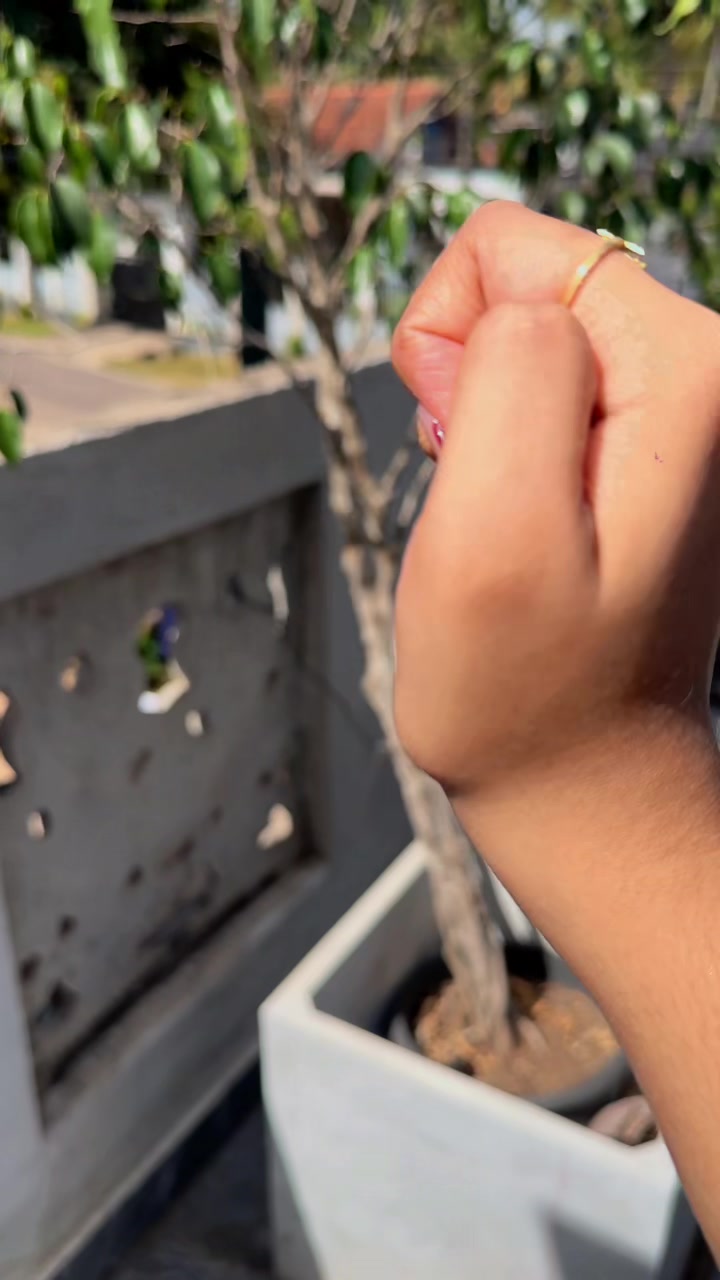 @Hashii¥🍂