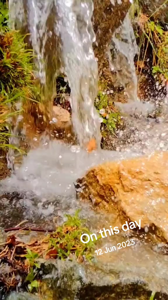 @🦅TOTAKHAIL🦅 گُجر 🥷 C. H
