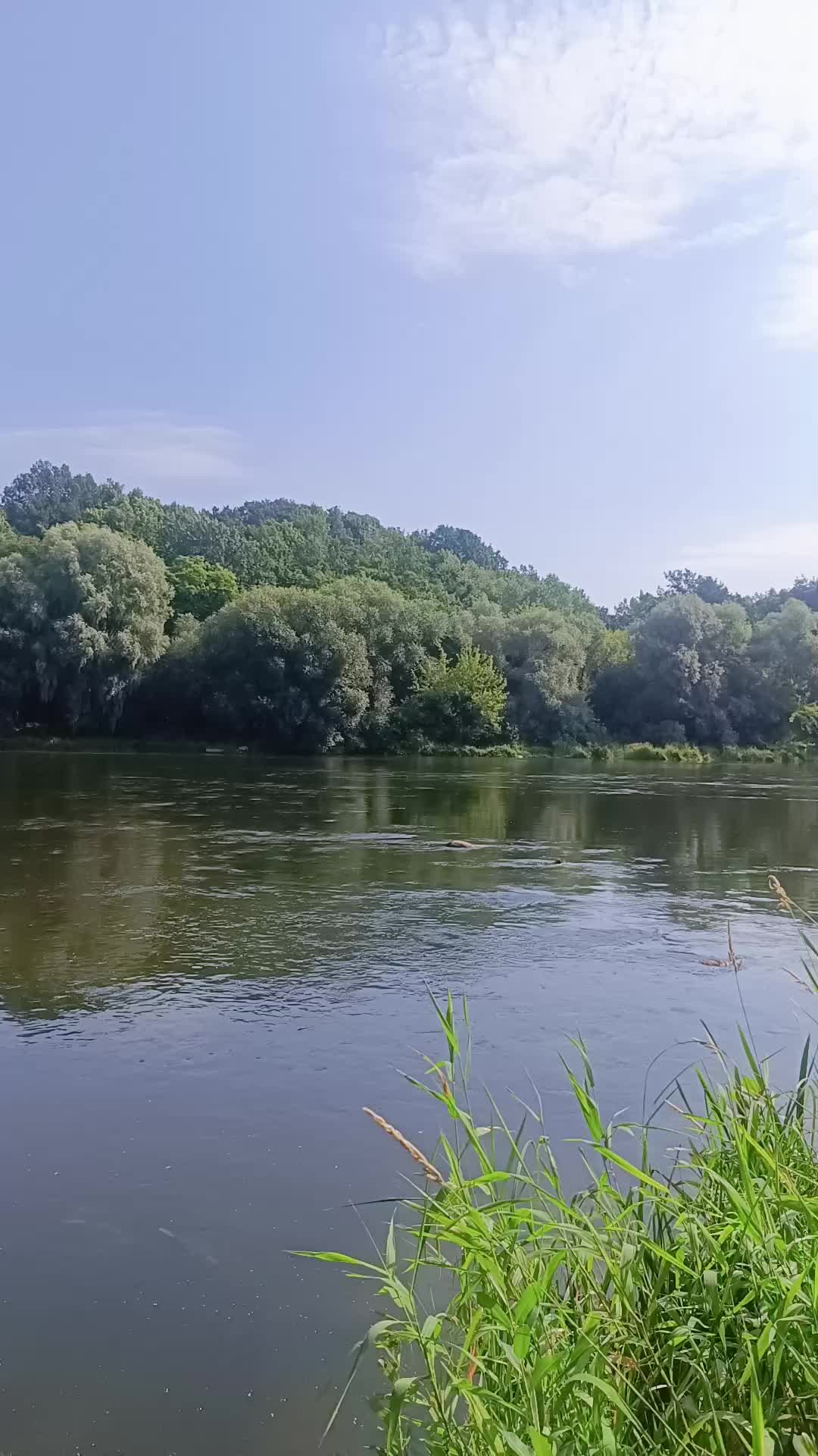 @Артур1121