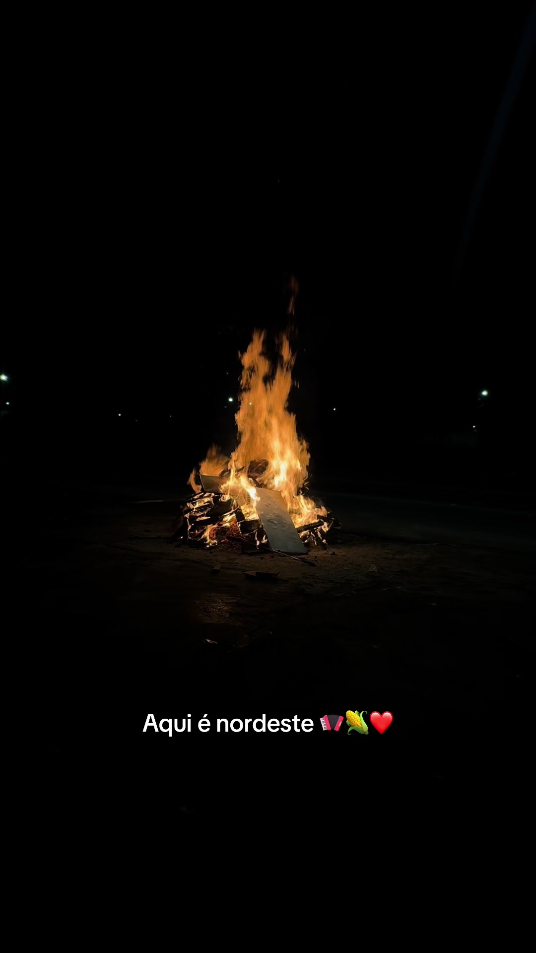 @Liigia Bruna