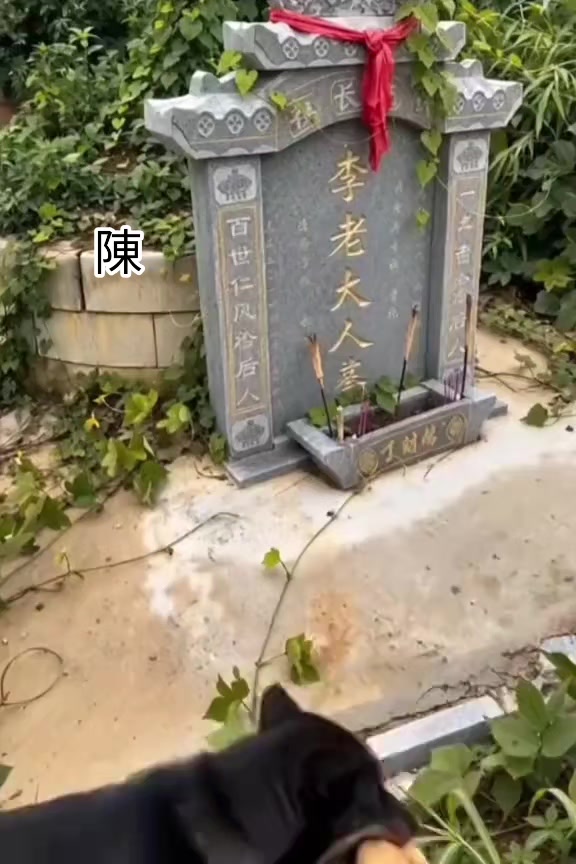 @陈俊侠.Richardo Tan