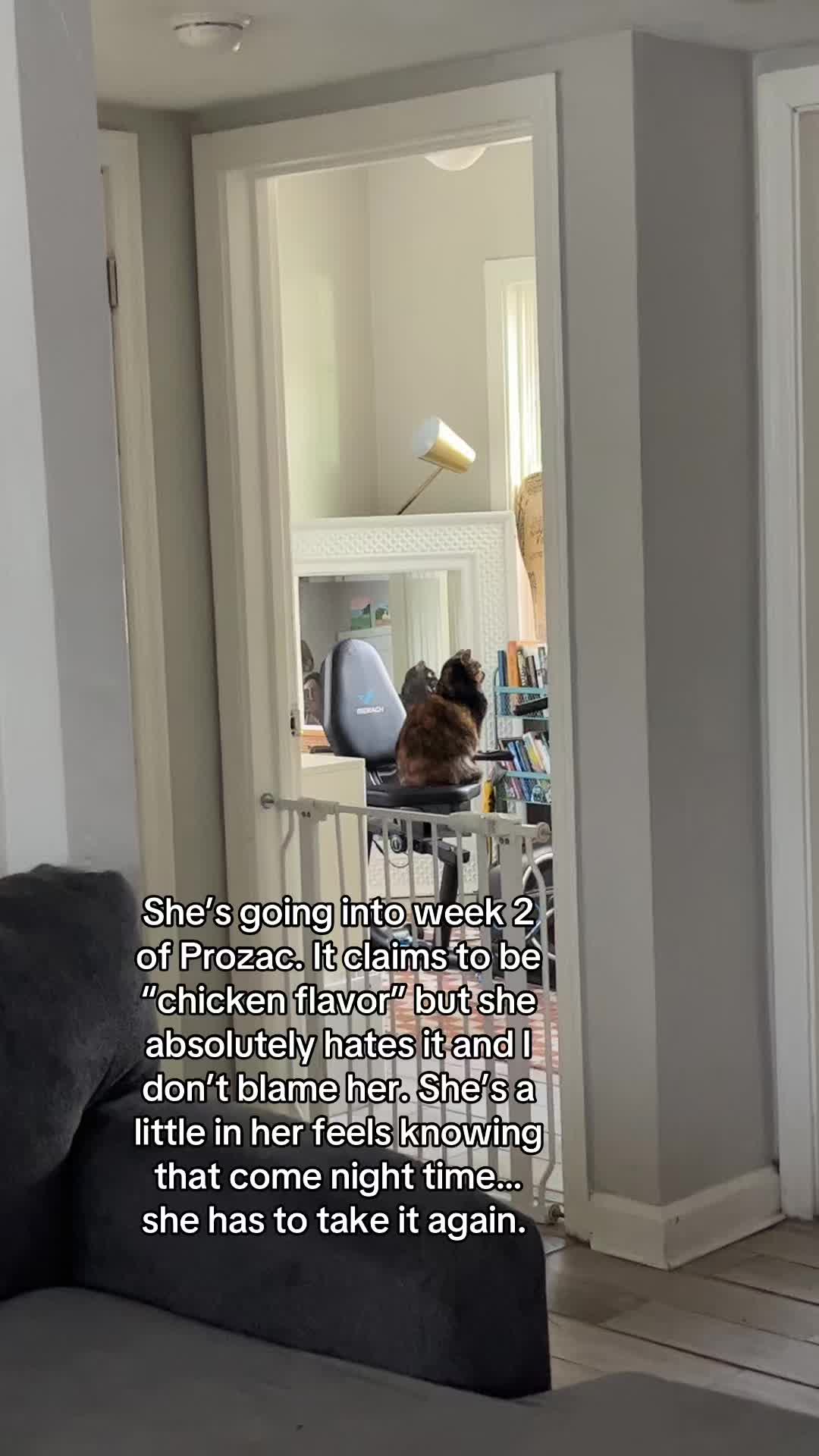 @Kylee