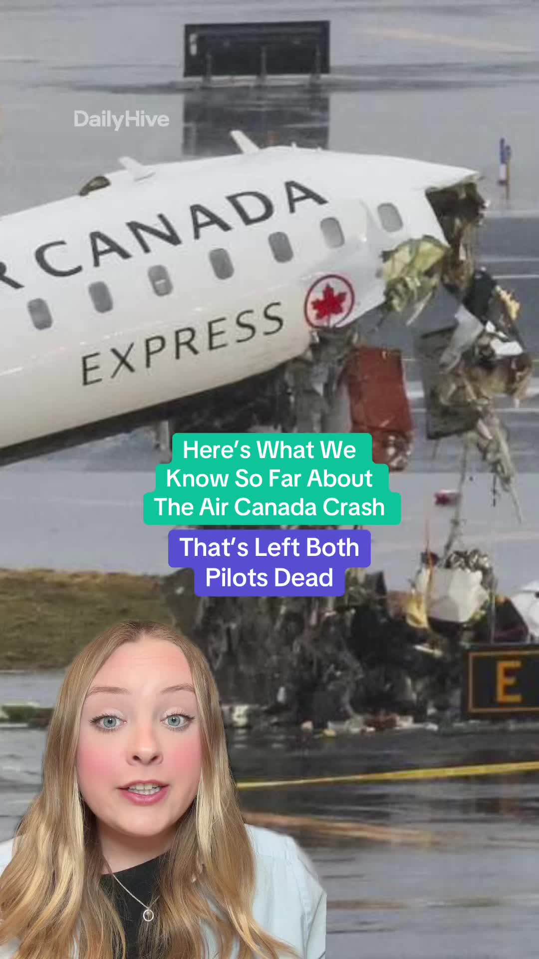 @dailyhivecanada